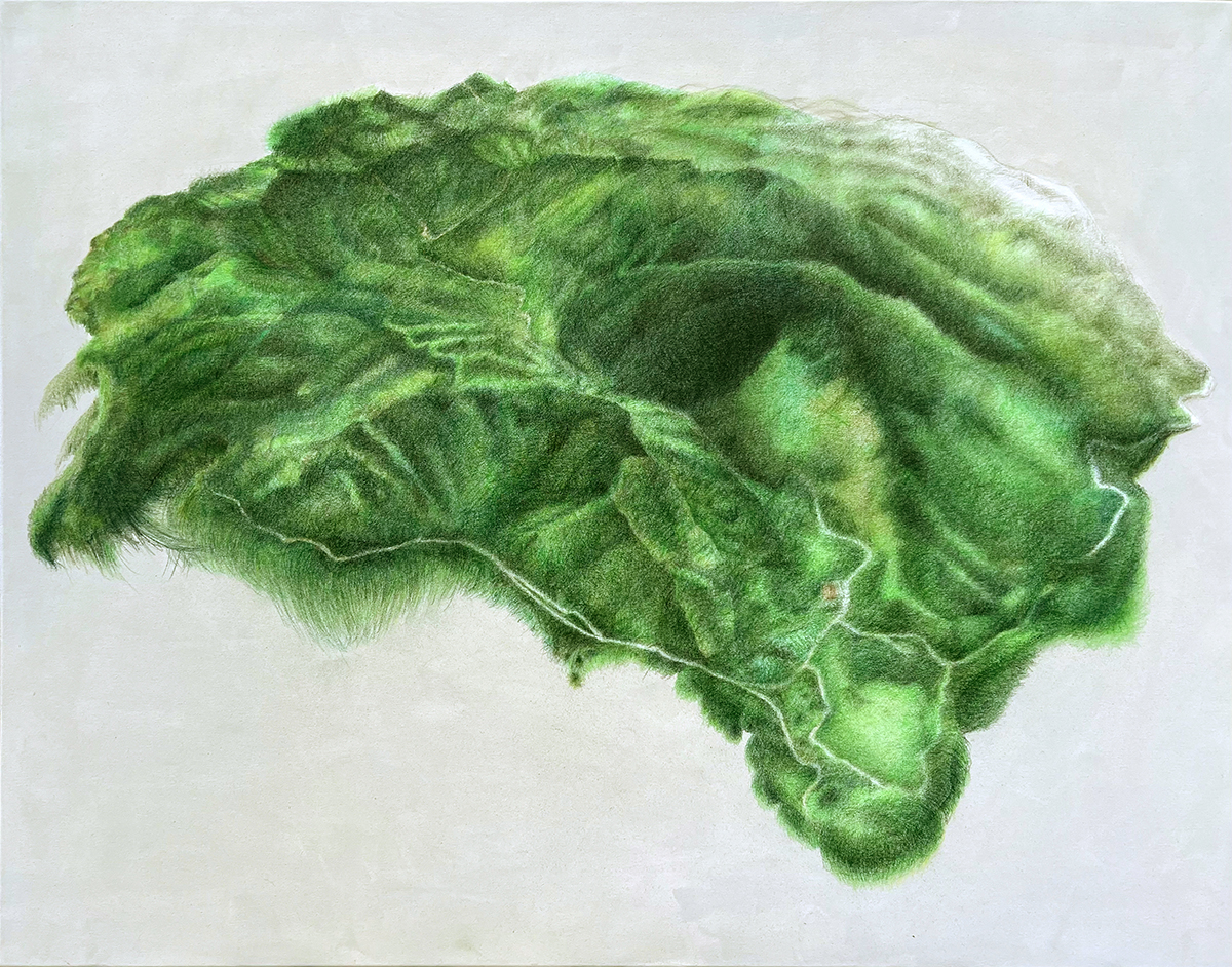 Ein Stück Landschaft Medellin Kolumbien 130x100cm Buntstift auf Leinwand Irene Müller 2025