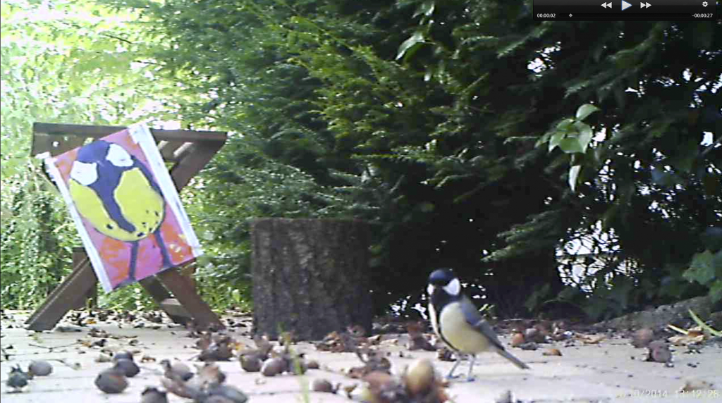 SUPERWILDVISION Stuttgart-Süd